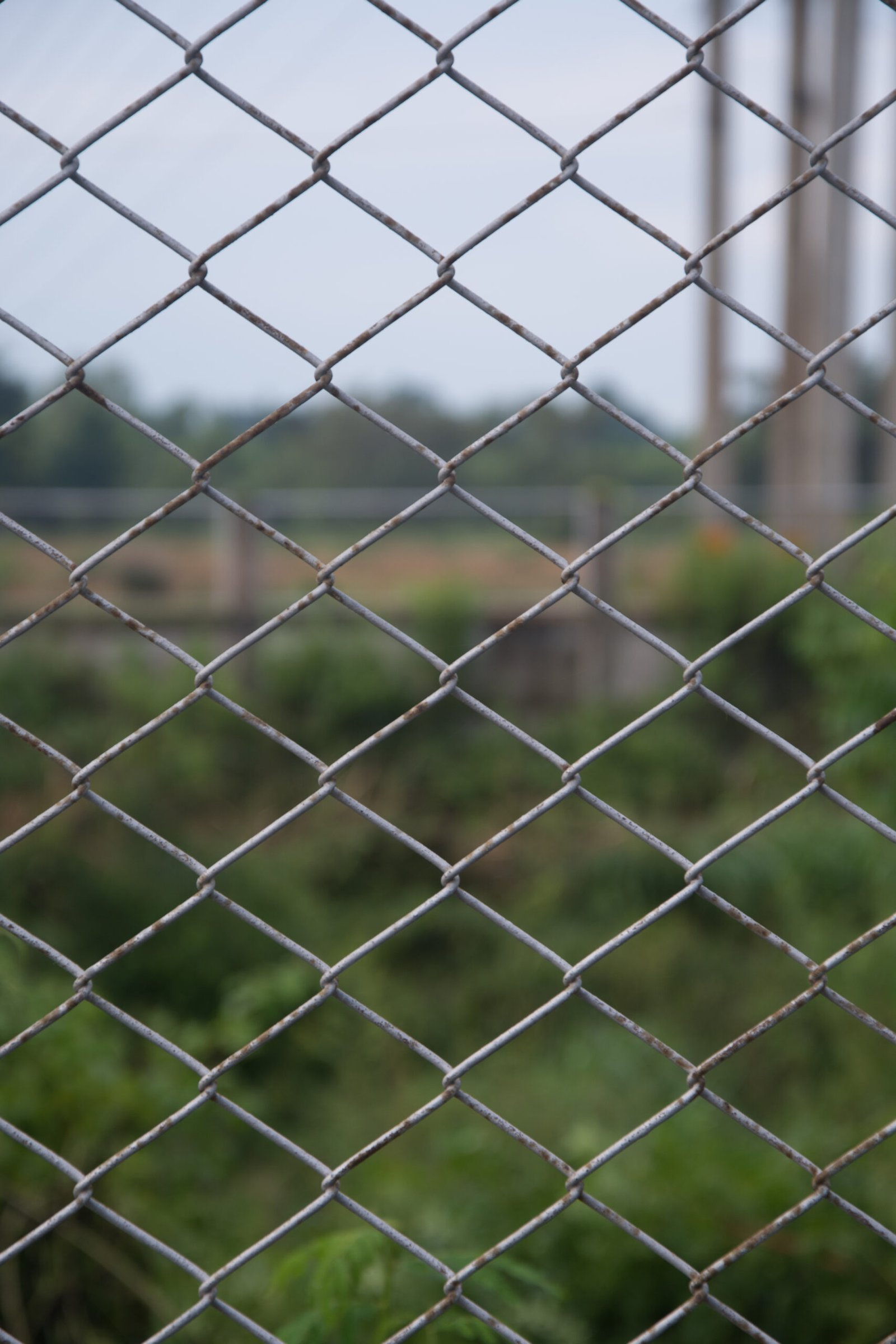 Tela de arame para cerca